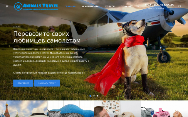 Animals Travel Animals Travel
